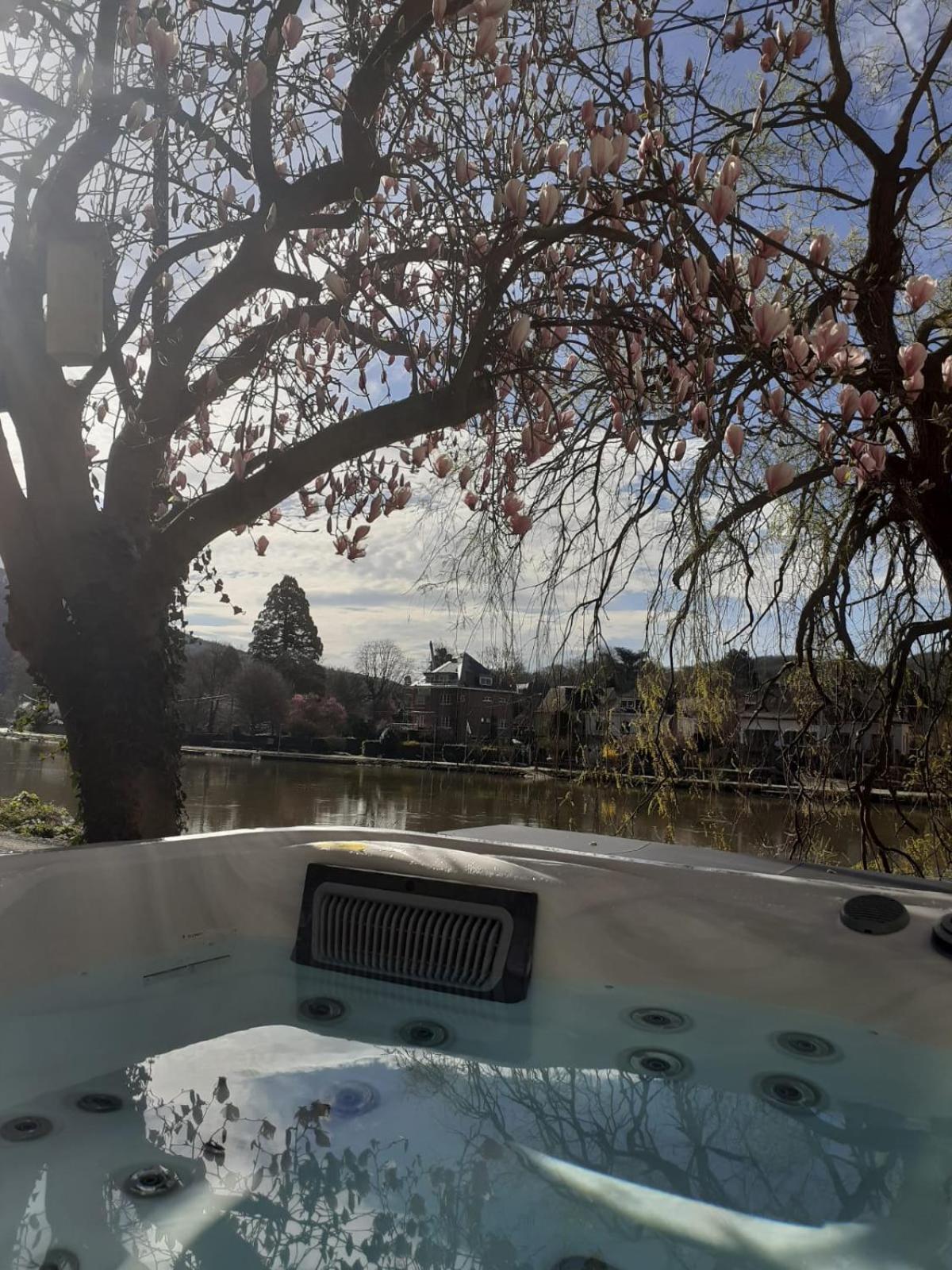 Pieds Dans L'Eau Private Wellness Bordure De Meuse Villa Lustin Екстериор снимка